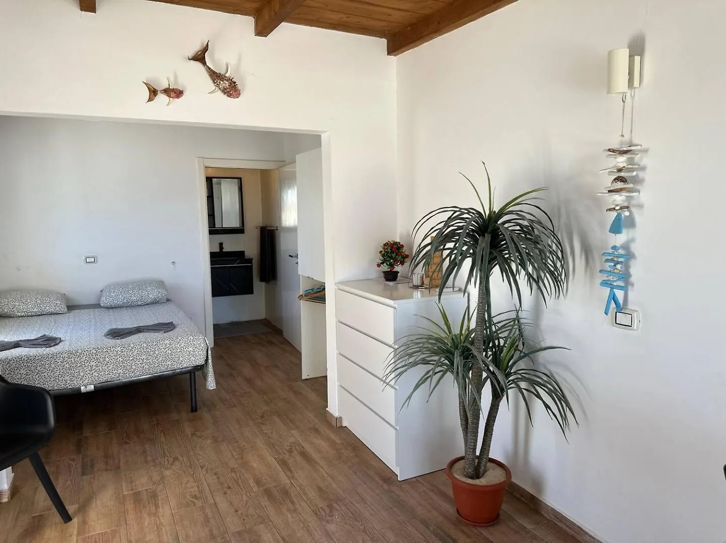 Casa Tud Dret - By Bobbywashere Sal Rei